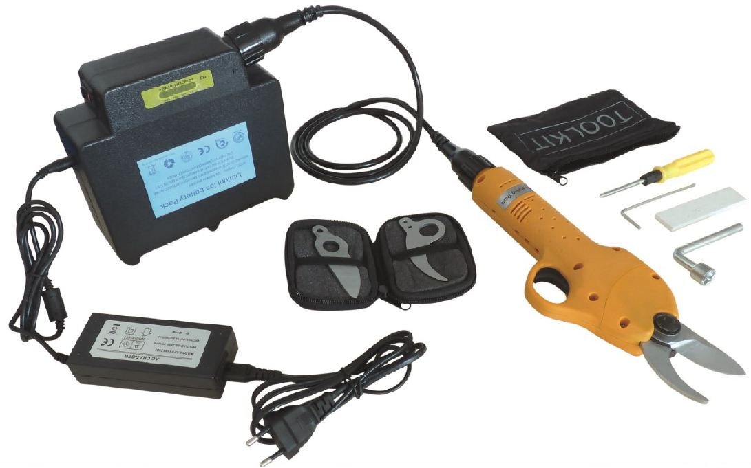 Image de l'objet « SECATEUR ELECTRIQUE »